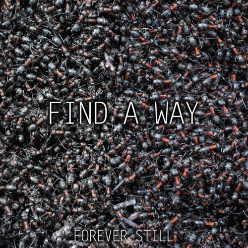Forever Still : Find a Way